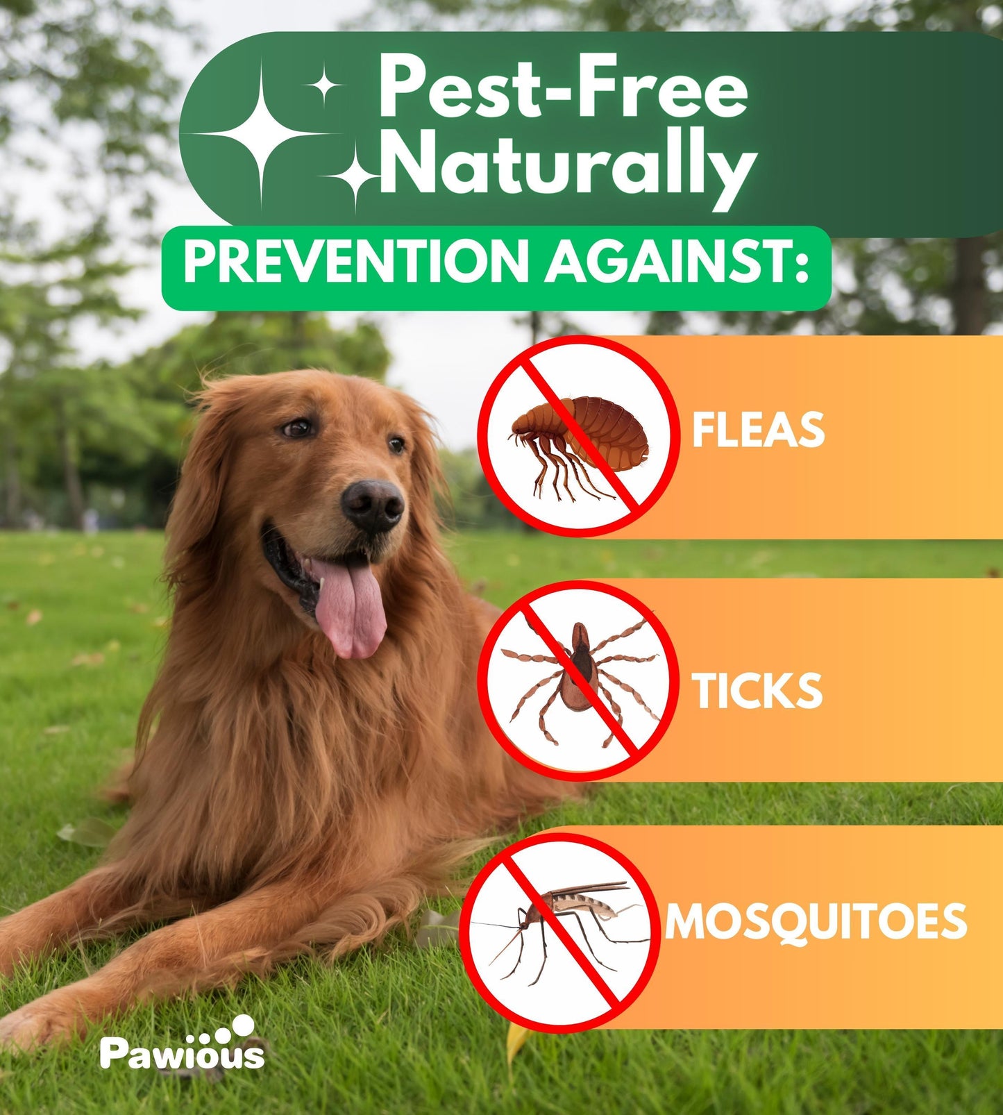 Natural Flea & Tick Prevention Chewable Tablets for Dogs – Chicken-Flavored