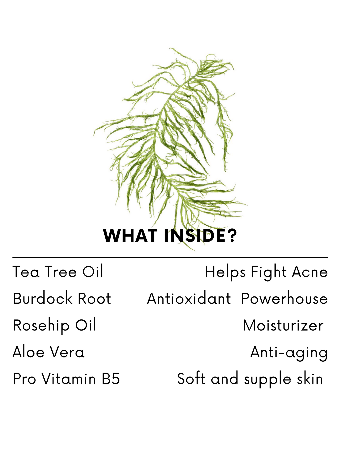 Marine Minerals Complex Cleanser