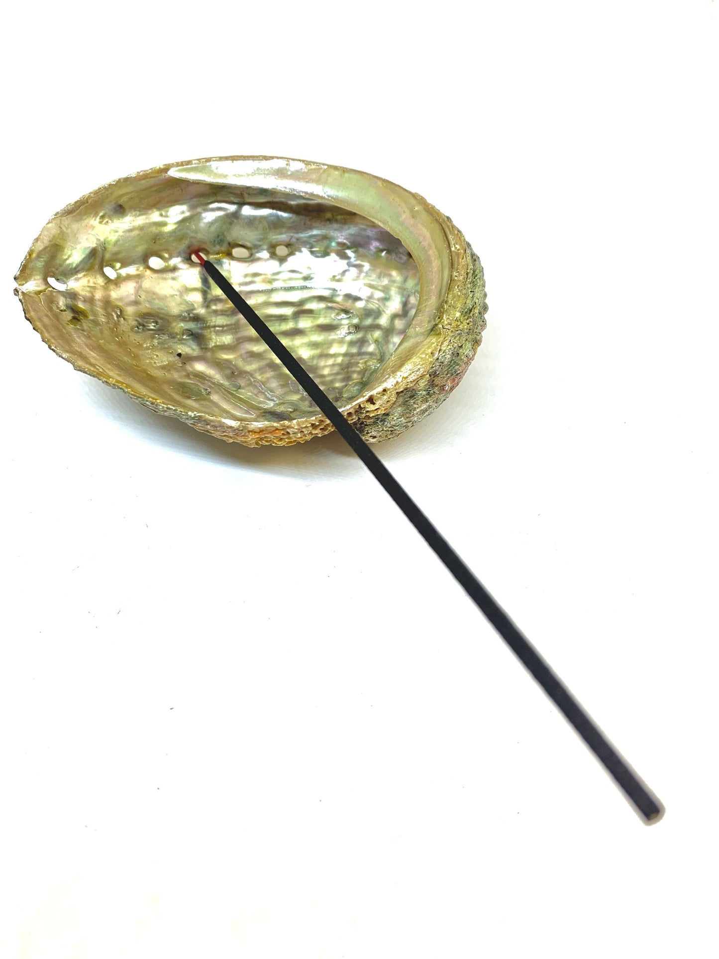 Abalone Shell Incense Holder - All-Natural, Handcrafted, 4-5 Inches Long | Perfect for Mind, Body, and Soul Cleansing
