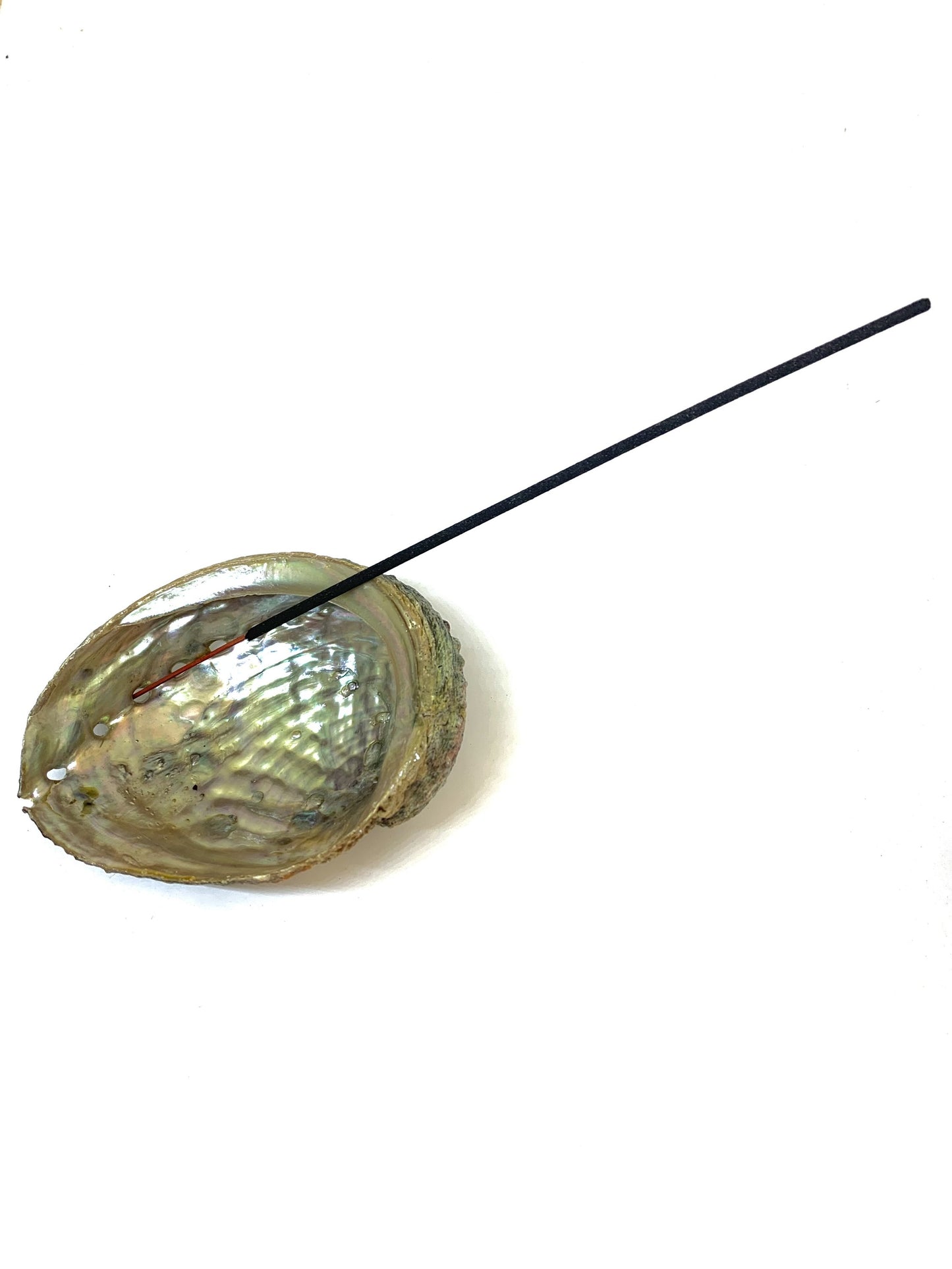 Abalone Shell Incense Holder - All-Natural, Handcrafted, 4-5 Inches Long | Perfect for Mind, Body, and Soul Cleansing