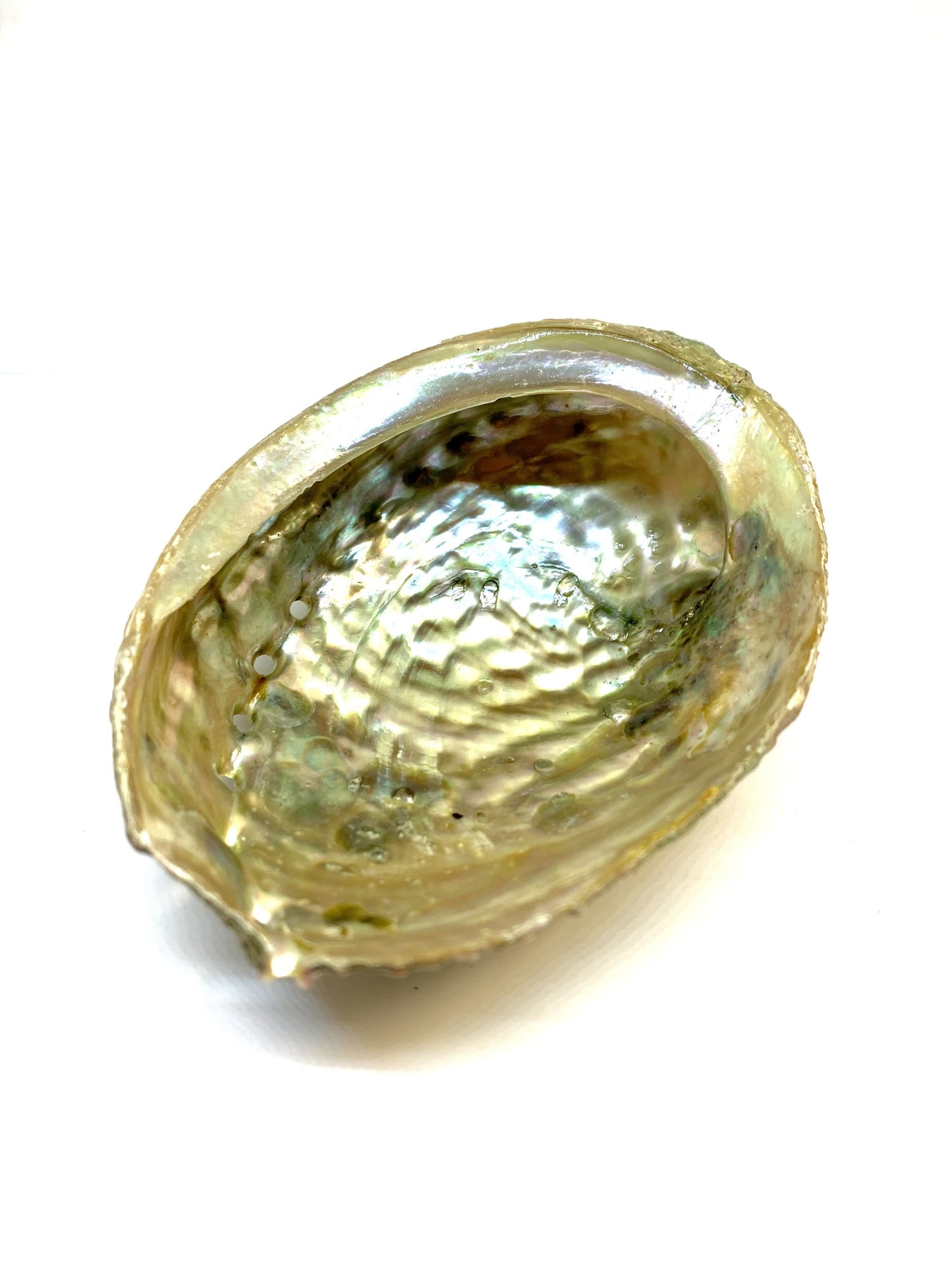 Abalone Shell Incense Holder - All-Natural, Handcrafted, 4-5 Inches Long | Perfect for Mind, Body, and Soul Cleansing