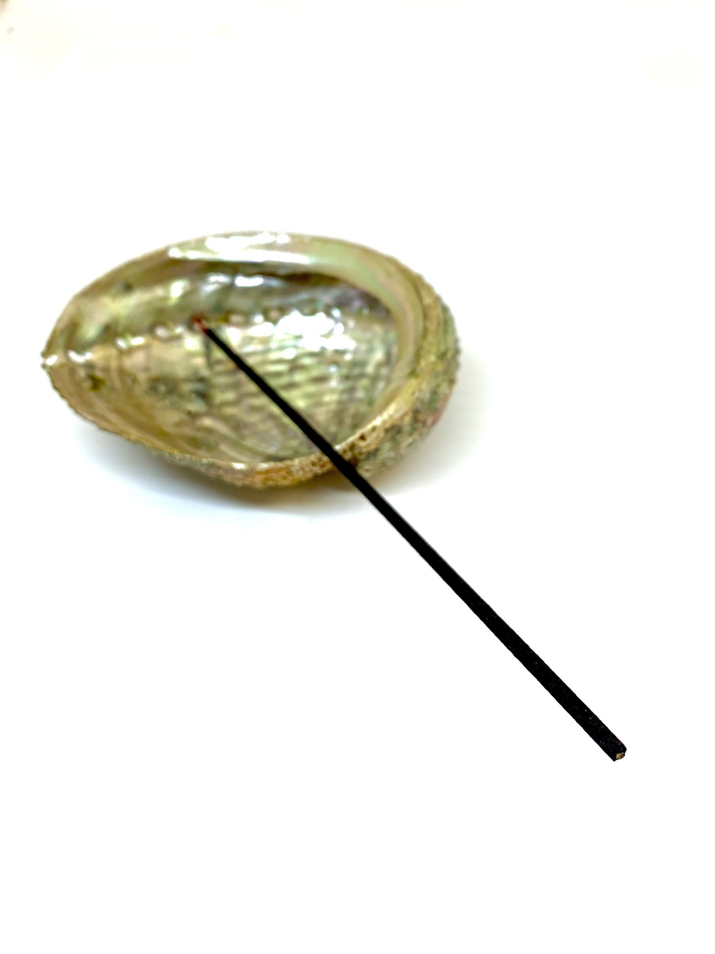 Abalone Shell Incense Holder - All-Natural, Handcrafted, 4-5 Inches Long | Perfect for Mind, Body, and Soul Cleansing